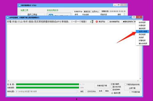 怎样消除热门爆料的视频,揭秘消除技巧与幕后真相  第2张